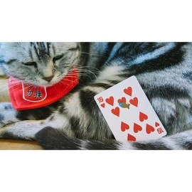 Spielkarten Meow Star Playing Cards by Bocopo