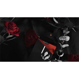 Spielkarten YUCI Soloist (Conjuring Edition) Playing Cards by TCC