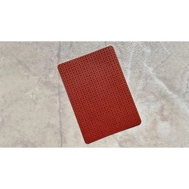Spielkarten Cotta's Almanac #5 Transformation Playing Cards