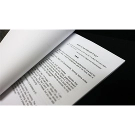 MAGIC WITH MEANING by James A Ward - Book