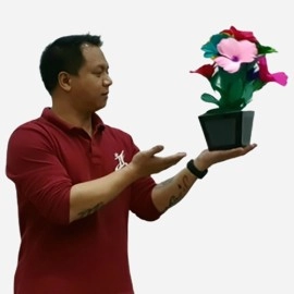 Flower Pot V2 to Blendo (HAPPY BIRTHDAY) by JL Magic