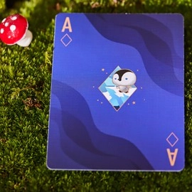 Spielkarten The Dream (Artic Edition) Playing Cards by SOLOKID