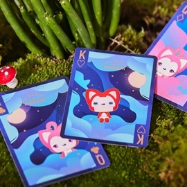 Spielkarten The Dream (Artic Edition) Playing Cards by SOLOKID