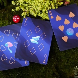 Spielkarten The Dream (Artic Edition) Playing Cards by SOLOKID