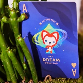 Spielkarten The Dream (Planet Edition) Playing Cards by SOLOKID