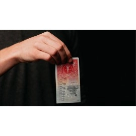 CASH FLOW by Taty Gomez