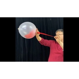Inside of balloon support + 45 cm balloons for balloon piercing 25 pieces by JL Magic