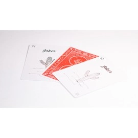 Spielkarten Cactus Standard Playing Cards