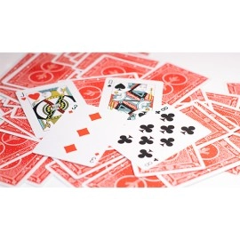 Spielkarten Cactus Standard Playing Cards
