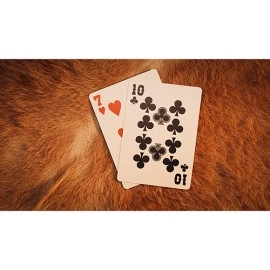 Spielkarten Bicycle Wranglers Playing Cards