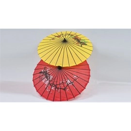 Umbrella From Bandana Set (random color for umbrella) by JL Magic