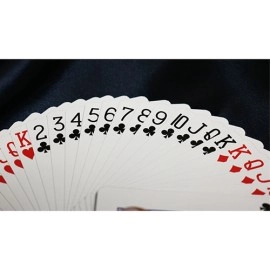 Spielkarten Bicycle Party Cup Playing Cards by US Playing Card Co.