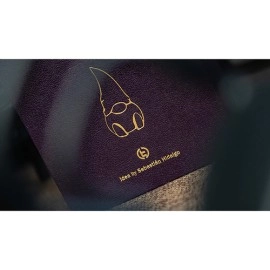 GNOMES HAT by TCC
