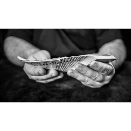 FREEDOM OF EXPRESSION by Dani DaOrtiz - BOOK