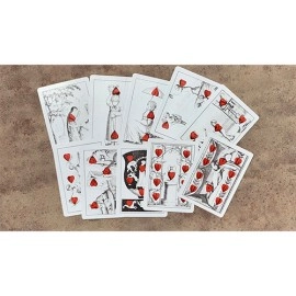 Spielkarten Limited Edition Cotta's Almanac #4 Transformation Playing Cards