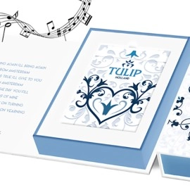 Music Box Collector's Set Playing Cards Dutch Card House Company