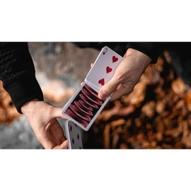 Spielkarten Parallax Playing Cards