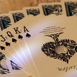 Opticks Box Set (Deck with Online Instructions) by Harapan Ong