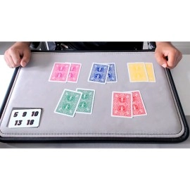 Will Our Minds Merge (Gimmicks and Online Instructions) by Vinny Sagoo