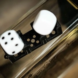 DALMATIAN by TCC