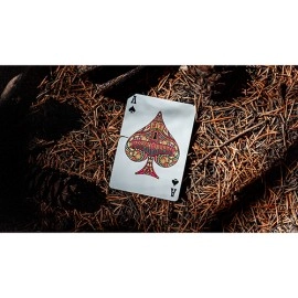 Spielkarten Psychonauts Playing Cards by Joker and the Thief