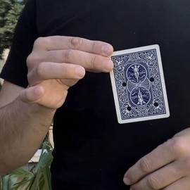 REVERSE MATRIX (Gimmicks and Online Instructions) by Chiam Yu Sheng