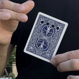 REVERSE MATRIX (Gimmicks and Online Instructions) by Chiam Yu Sheng