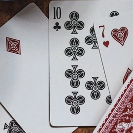 Spielkarten KODIAK Playing Cards
