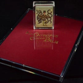 Carat IAOCP Book Case