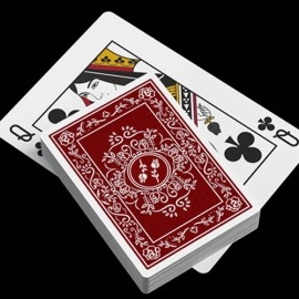 Spielkarten Black Roses Edelrot Mini Playing Cards (Collector's Box)