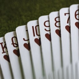 Spielkarten ERDNASE Playing Cards
