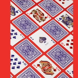 Spielkarten DKNG (Purple Wheel) Playing Cards by Art of Play