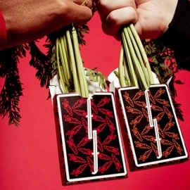 Spielkarten Fontaine: Carrots V2 Playing Cards