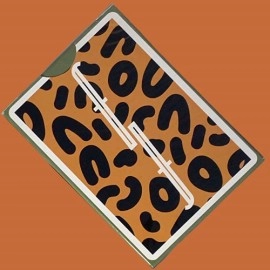 Spielkarten Fontaine Nickelodeon: Thornberries Playing Cards