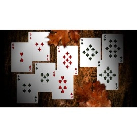 Spielkarten Secret Tale of Robin Hood: Black Owl Playing Cards