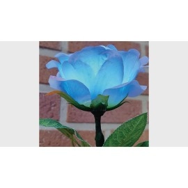 Remote Light Rose Multi-color (Charger Included) by JL Magic