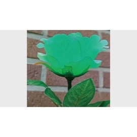 Remote Light Rose Multi-color (Charger Included) by JL Magic