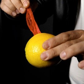 VANISHING HANDKERCHIEF  (Gimmicks and Instructions) by Apprentice Magic