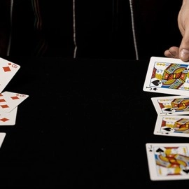 Cardboard Chameleons (Gimmicks and Online Instruction) by DARYL