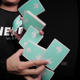 Spielkarten Jaspas Deck Favourite Day Edition 2
