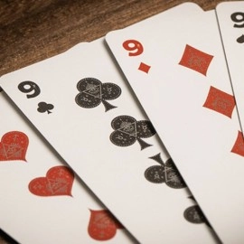 Spielkarten Palmistry (Silver Sable) Playing Cards