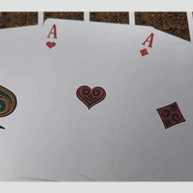 Spielkarten Bicycle Profile Playing Cards by Collectable Playing Cards