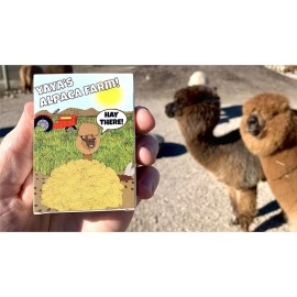 Spielkarten Alpaca Farm Playing Cards