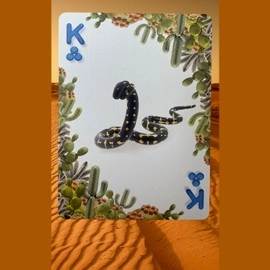 Spielkarten Bicycle Balloon Desert Playing Cards