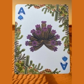 Spielkarten Bicycle Balloon Desert (Stripper) Playing Cards