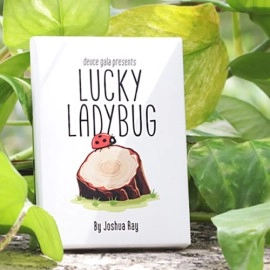 Lucky Ladybug (Gimmicks and Online Instructions) by Joshua Ray & Deuce Gala Magic