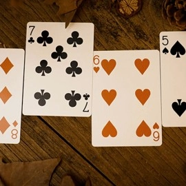 Spielkarten Forest elf Badger Playing Cards