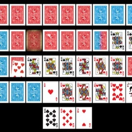 Elite Night Flight (Gaff) Playing Cards by Steve Dela