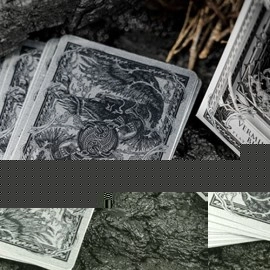 Vermilion Bird Black Gold Box Set by Ark Playing Cards
