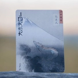 Spielkarten Rising Sun Playing Cards